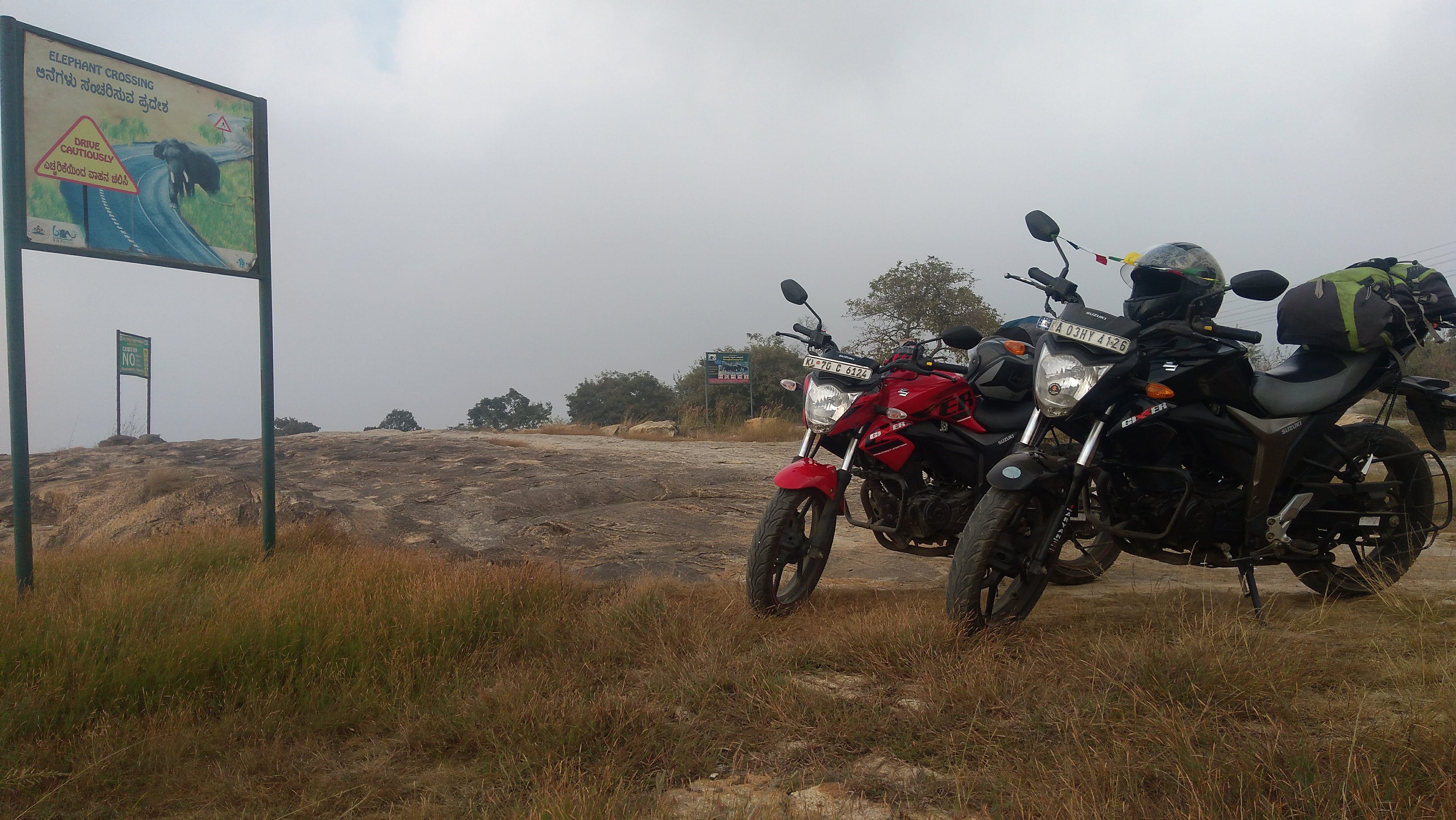 First stop, Bannerghatta National Park.